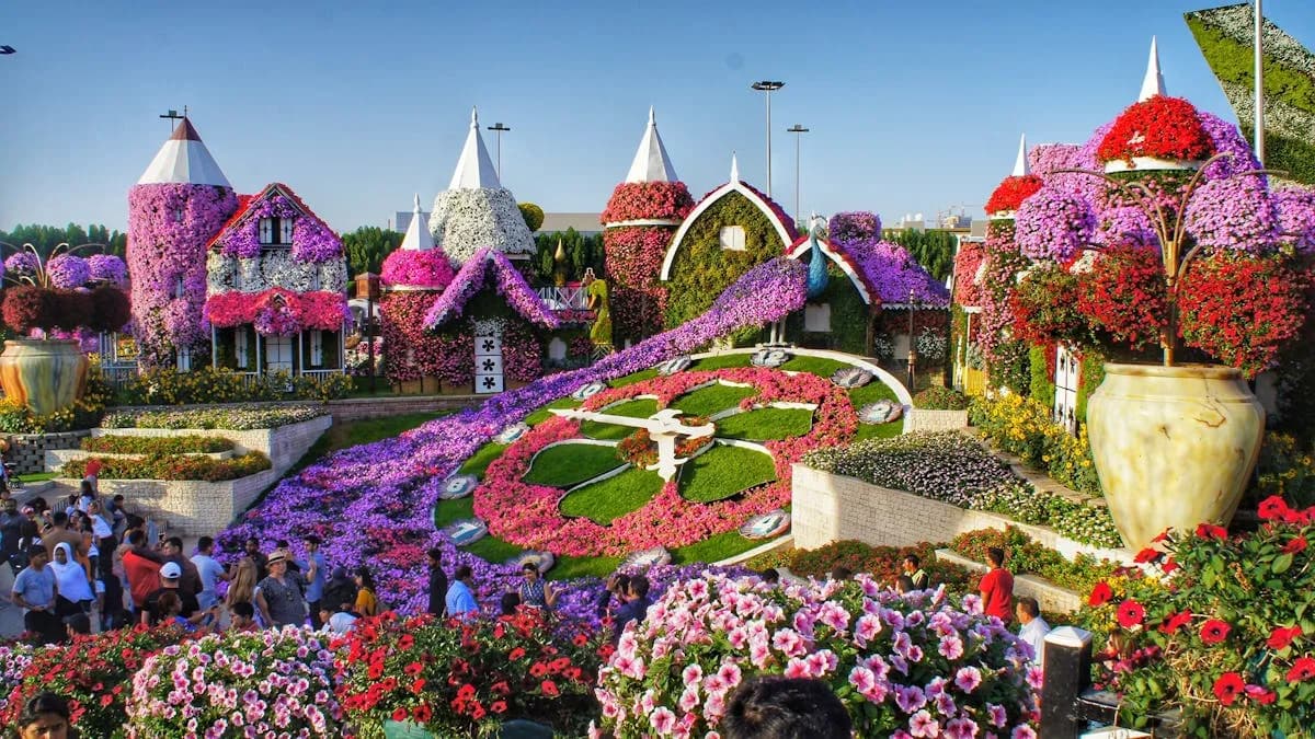 Guide to Dubai's Stunning Nature Parks