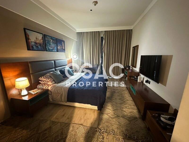 Fully Furnished I 12 Cheques I with Utility Bills - 5