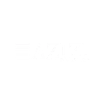 Azizi copy
